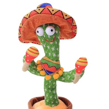 高畑郁子、【インドの女】、希少な額装用画集より、新品額装付、状態良好 keitahaginiwa | 株式会社 萩庭桂太 写真事務所