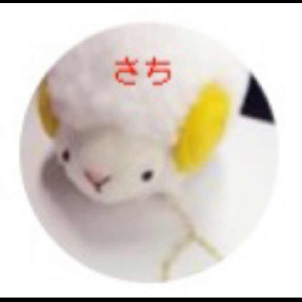 やなめ様 カード詳細｜Boosty Collection